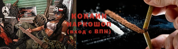 сатива Каменск-Шахтинский