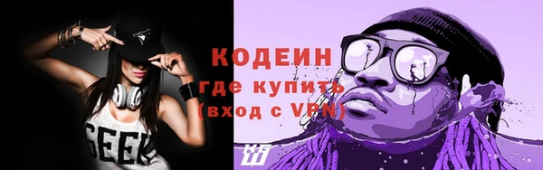 сатива Каменск-Шахтинский