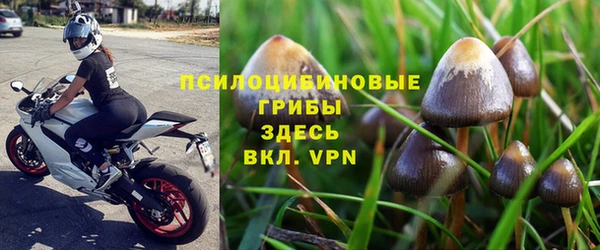 сатива Каменск-Шахтинский